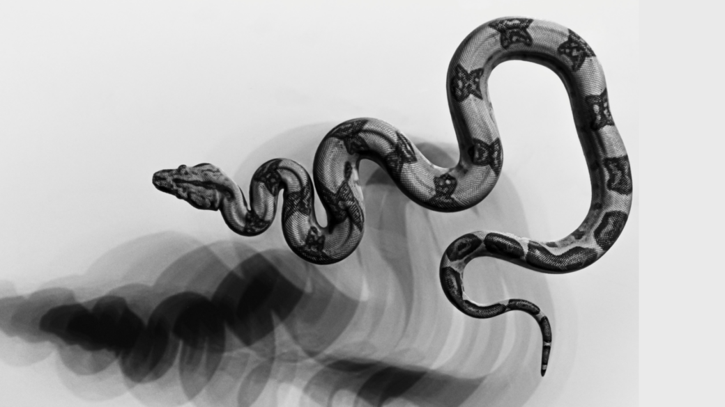 Kas yra sąmoningumas?